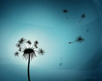 Dandelion Bits Desktop Pc And Mac Wallpaper