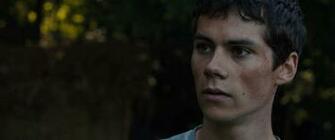 Dylan O Brien Wallpaper