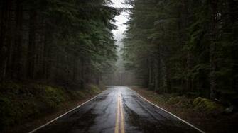Rainy Forest Road Wallpaper MixHD