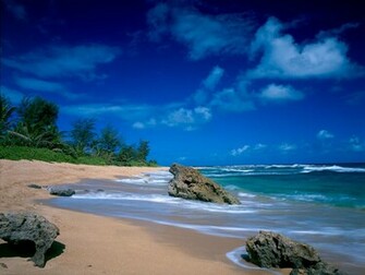 Wallpaper Tropical Beach Html
