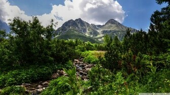Mountain HDr Wallpaper