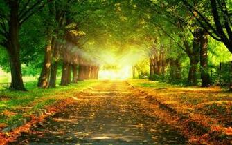 HD Wallpaper 1080p Nature Autumn