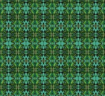 Nicola Hooper Zoonoses Art Guide Australia