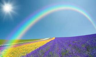 Purple Nature Field Amazing Rainbow HD Wallpaper