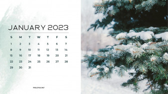 January Calendar Desktop Wallpaper Net