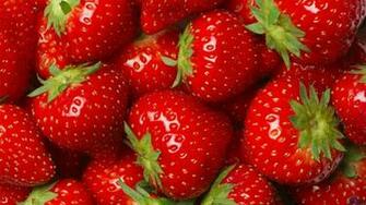 To Fresh Strawberries HD Wallpaper Background Next Image