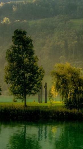 Nature Nexus Wallpaper HD And Background