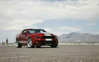 Shelby Gt500 Super Snake Static Wallpaper