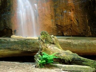 Nature Wallpaper Gallery