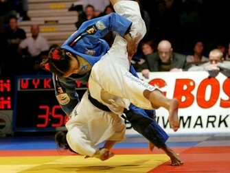 Judo Deborah Gravenstein Wallpaper