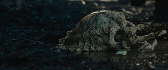 Movie Predator Wallpaper