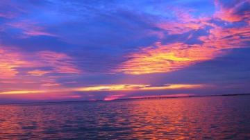 Collins Donald Sharp Of Ocean City Nj Ocnj Daily