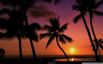 Tropical Sunset 4k HD Desktop Wallpaper For Ultra Tv