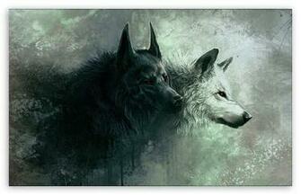 Wolf Wallpaper