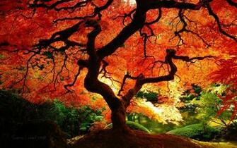 Desktop Wallpaper Fall Colors In HD