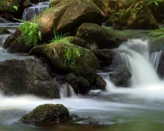 Wallpaper Background Amazing 3d