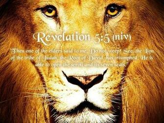 Lion Of Judah Wallpaper