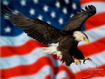 Eagle And American Flag Alaska Photography Part
