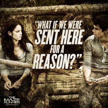 Movie Frases The Maze Runner Film Fotografia