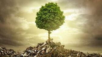 Wallpaper Single Tree Garbage Wreckage UHD 4k Picture