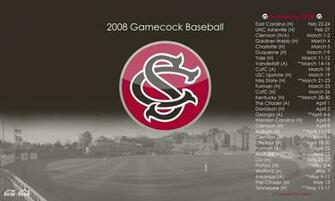 Gamecock Baseball Wallpaper