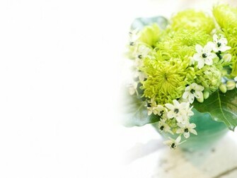 Ikebana Wallpaper Weddingdressin