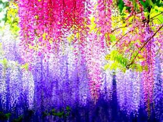 Artificial Nature HD Wallpaper
