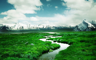 Picture Wallpaper