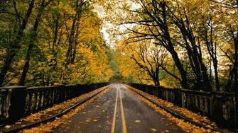 Autumn Country Back Thussayethme Background Memories Nature Wilderness