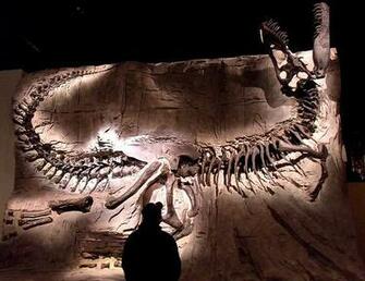 Dinosaur Skeleton