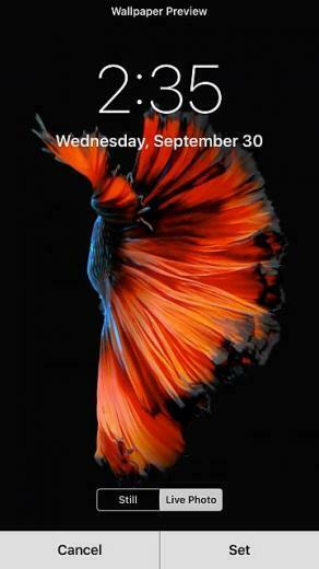 Live Wallpaper Not Working Imageuploadedbytapatalk1443641955