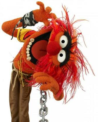 The Gallery For Gt Muppets Animal Wallpaper