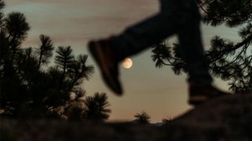 Noah Kahan Cynic Lyrics Wallpaper Teahub Io