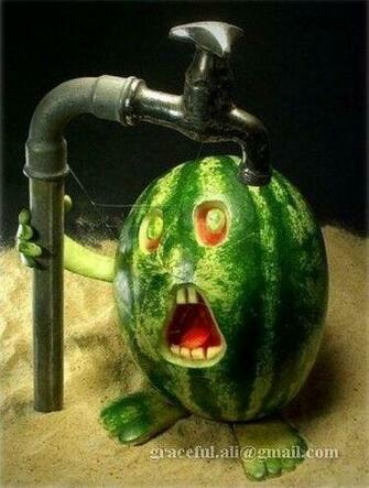 Funny Food Wallpaper And Background Image In The Club Tagged