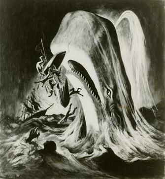 High Quality Moby Dick Wallpaper Full HD Pictures