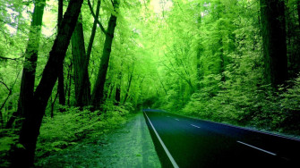 3d HD Nature Wallpaper
