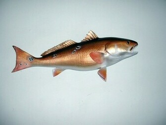 Red Fish Pictures Wallpaper Records