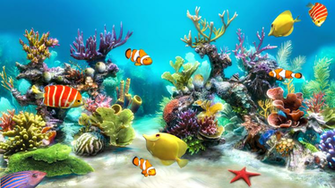 Live Wallpaper For Windows Phone And Nokia Lumia