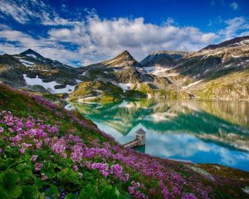 Wallpaper Beautiful Spring Mountains Lake Flowers Water