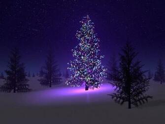 Christmas Tree HD Wallpaper Cool Desktop Photos Widescreen