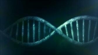 Genetic Susceptibility To Vascular Cognitive Impairment A