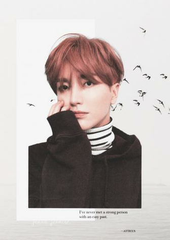 Superjunior Leeteuk Suju Wallpaper Kpop Super Junior En