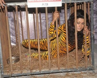 Peta Negar Khan In Protest Of Zoos At Mehboob Wallpaper Size