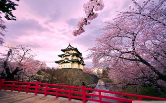Japanese Pink Wallpaper