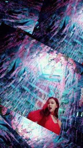 Blackpink Wallpaper Ddu Du Rose Kpop