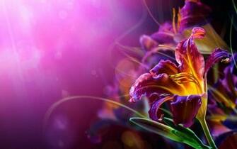 Flowers Wallpaper