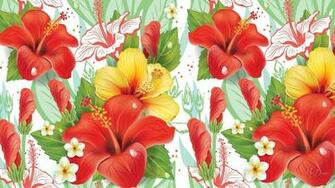 Hibiscus Wallpaper