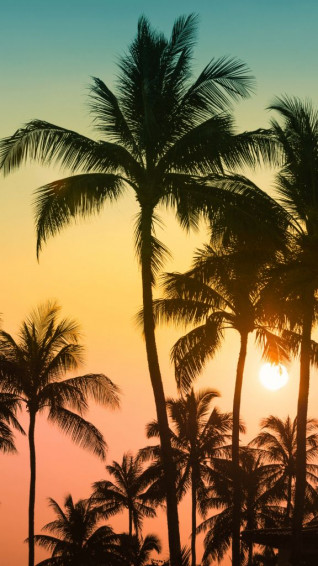 Cute Summer Wallpaper For iPhone HD In