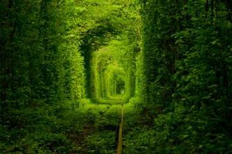 Tunnel Of Love Ukraine Wallpaper Travel HD