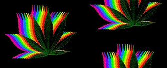 Go Back Pix For Weed Background